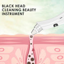 Fast Drop Shipping 3 Suction Mode Face Cleansing Beauty Machine